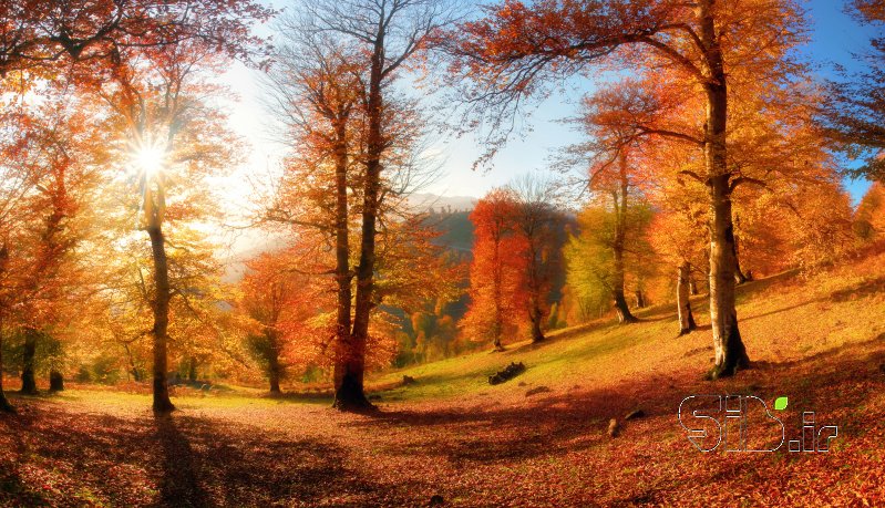 قاب عکس مدرن بدون عنوان منظره   طبیعت / روستایی اثر سینا رحمتی