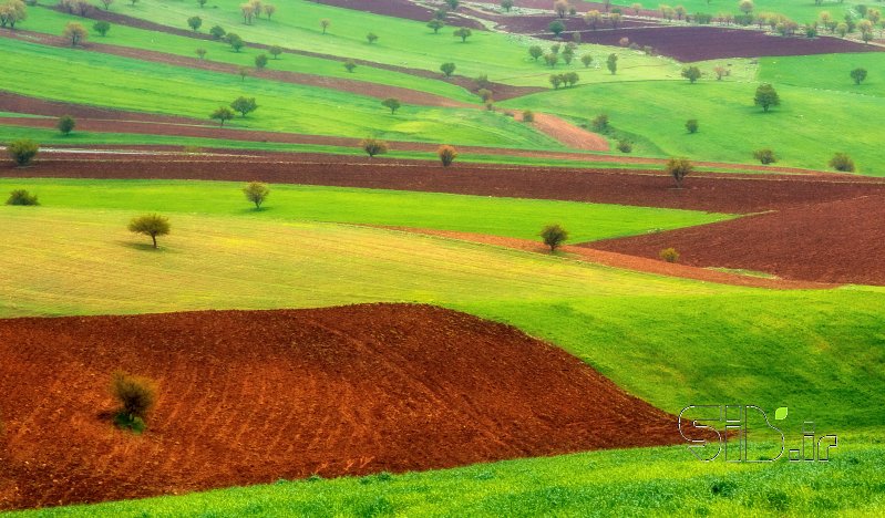 قاب عکس مدرن بدون عنوان منظره   طبیعت / روستایی اثر رضا ناظمی