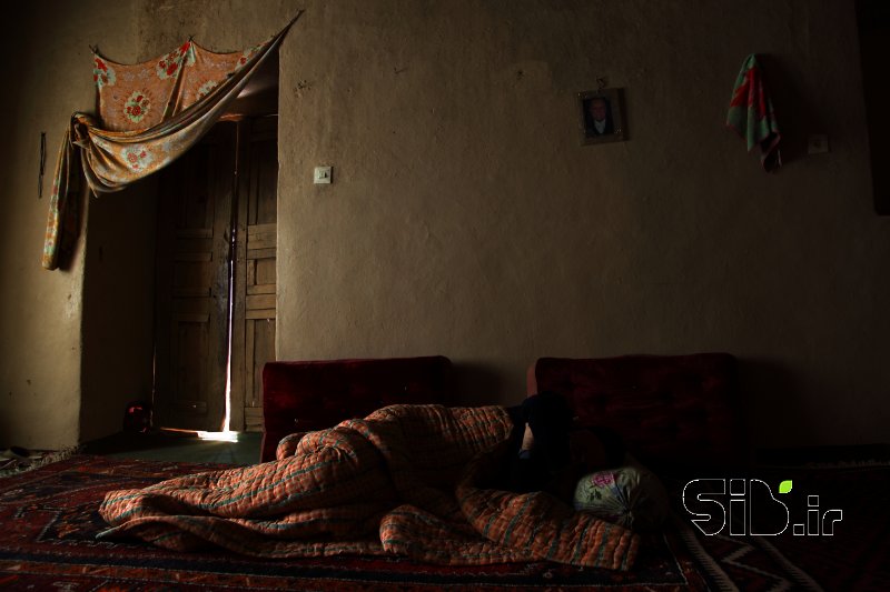 قاب عکس مدرن پدر بزرگ زنده است ...  مستند انسانی  اثر سجاد پیشدادی 