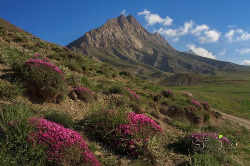 قاب عکس مدرن بدون عنوان منظره   طبیعت / روستایی اثر علی  اصغری معلم کلایی