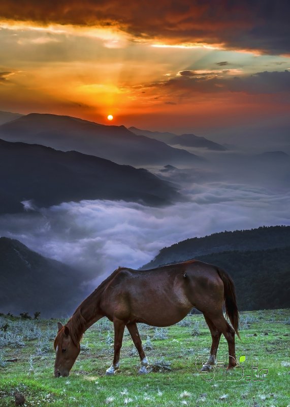 قاب عکس مدرن Land of the Clouds منظره   طبیعت / روستایی اثر هادی محسن تبار فیروزجائی
