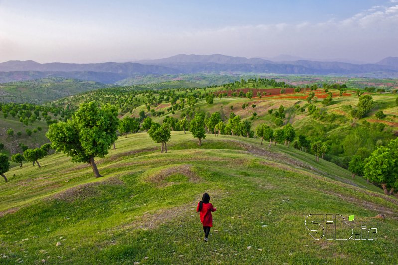 قاب عکس مدرن تنهایی مستند انسانی  اثر فرهاد مطاعی