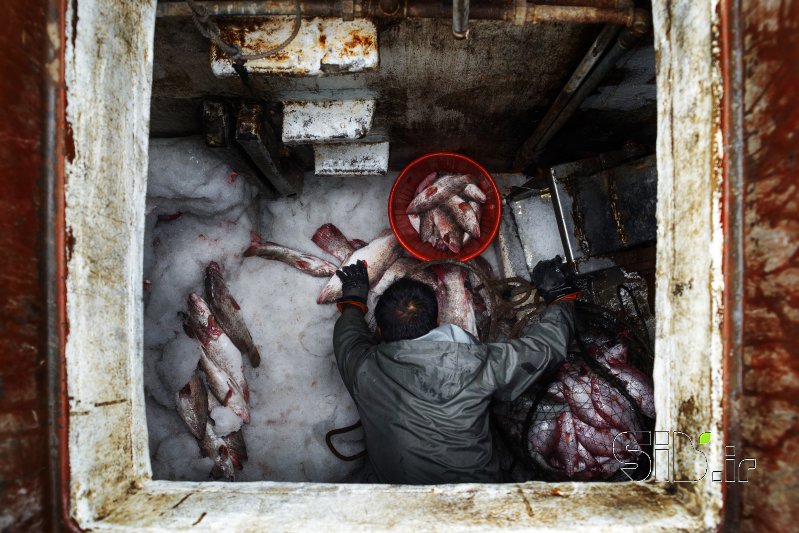 قاب عکس مدرن Fisherman مستند انسانی  اثر سعید عرب زاده