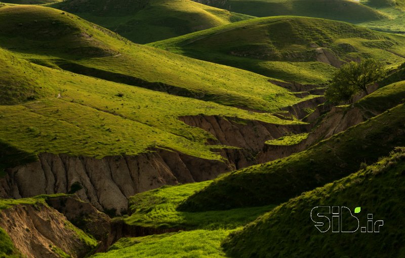 قاب عکس مدرن طلوع سبز منظره   طبیعت / روستایی اثر Ali Dormiani علی دُرمیانی