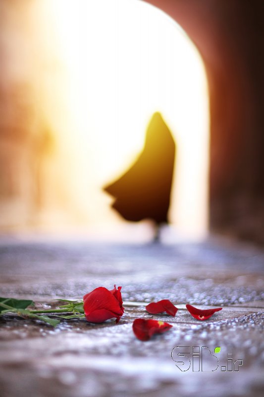 قاب عکس مدرن محو شدن در نور پرتره اثر حسن الماسی
