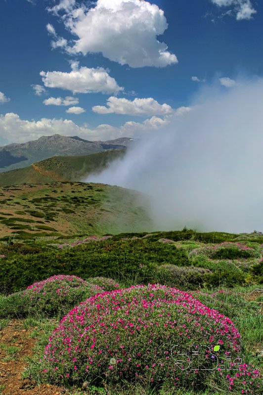 قاب عکس مدرن زیبایی های بهار  منظره   طبیعت / روستایی اثر علی  اصغری معلم کلایی
