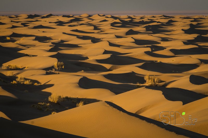 قاب عکس مدرن کویر مصر منظره   طبیعت / روستایی اثر وحید وارسته