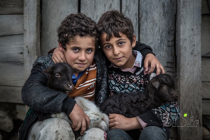 قاب عکس مدرن دوستی منظره   طبیعت / روستایی اثر امین مهدوی