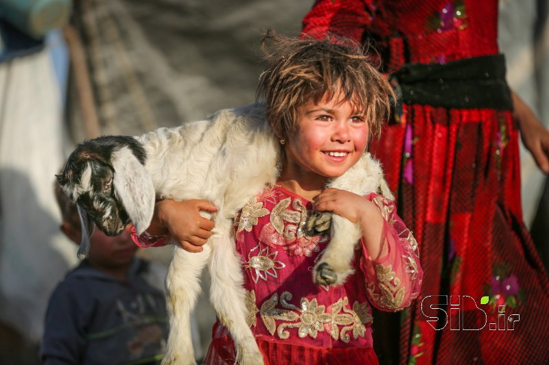 قاب عکس مدرن دختر عشایر منظره   طبیعت / روستایی اثر کیارش کرمی
