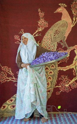 مادربزرگی از جنس زعفران