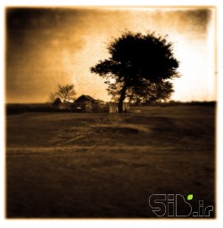 My Land