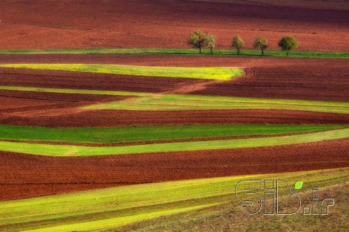 مزرعه رویایی