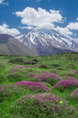 مسیر بهشت 