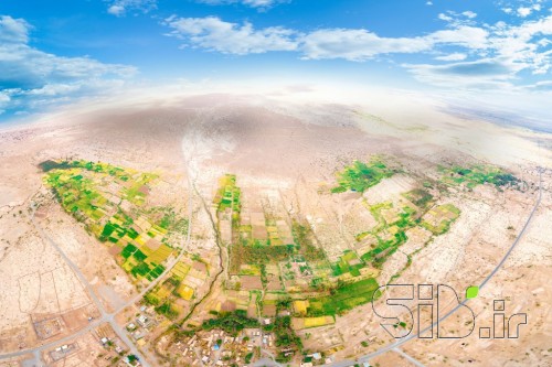 سبز در زرد